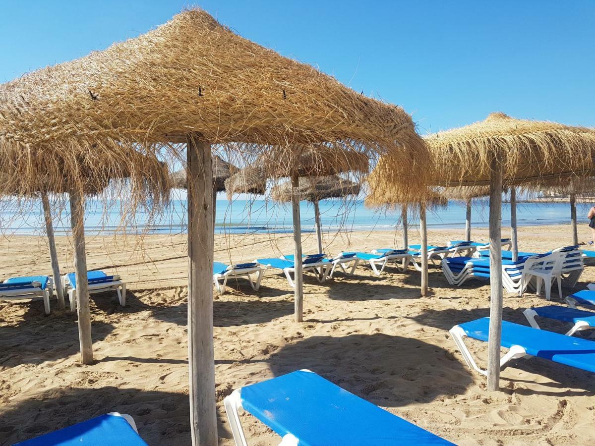 Vip, First Line,Sea View, Beach Daire Torrevieja Dış mekan fotoğraf