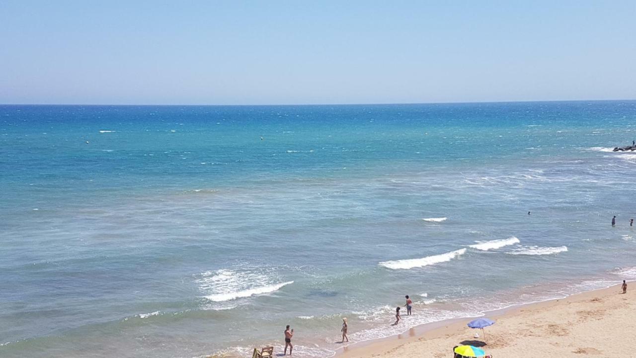 Vip, First Line,Sea View, Beach Daire Torrevieja Dış mekan fotoğraf